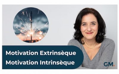 Motivation Extrinsèque & Motivation Intrinsèque
