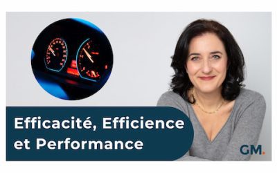 Efficacité, Efficience et Performance
